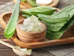 3 Jus Dingin Ini Tingkatkan Daya Tahan Tubuh di Musim Kemarau