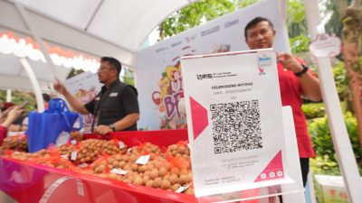 Pemberdayaan BRI Bikin Klaster Kelengkeng di Tuban Makin Bersinar