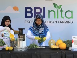 Dukung Pemberdayaan Wanita dan Keseimbangan Lingkungan, BRI Dapatkan Penghargaan CSR untuk Negeri dalam Ajang Merdeka Award 2024