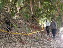 Warga Temukan Granat Aktif di Pinggir Kali Bekasi
