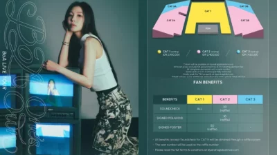Akan Gelar Tur Asia, BoA Dipastikan Sambangi Jakarta