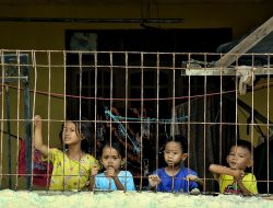 Tekan Angka Kasus Kekerasan Anak dan Perempuan, DP3A Bentuk Satgas SAPA