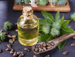 4 Bahan Alami Membantu Mengatasi Sembelit