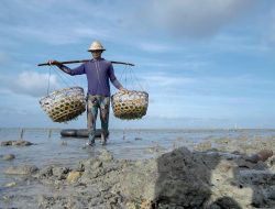 Pemberdayaan BRI Tingkatkan Skala Usaha Klaster Usaha Rumput Laut Semaya di Nusa Penida   