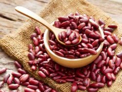 4 Manfaat Konsumsi Kacang Merah