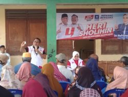 Menang Pilkada Kota Bekasi 2024, Heri-Sholihin Janjikan TKK Jadi PPPK