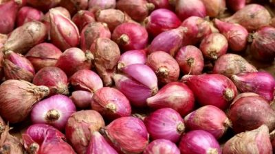 Manfaat Bawang Merah Mentah, Tingkatkan Imun hingga Jaga Kesehatan Tulang