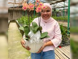 Puspa Dewi Flower Bersemi dari Hobi Hingga Mempercantik Tempat Tinggal   