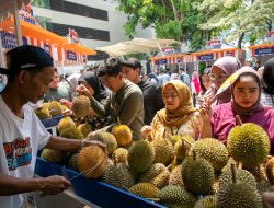 Kelompok Petani Durian di Pekalongan Makin Berkembang Berkat Pemberdayaan BRI   