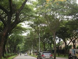 LPCK Tingkatkan Kualitas Layanan   