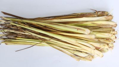 Bisa Jadi Aromaterapi Hingga Bantu Atasi Ketombe, Ini Manfaat Minyak Serai