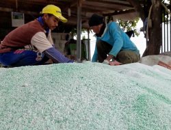 Gangguan Sistem Hambat Pendataan Petani Penerima Pupuk Subsidi di Kabupaten Bekasi