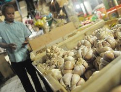 Genjot Popularitas Bawang Putih di Kabupaten Bekasi