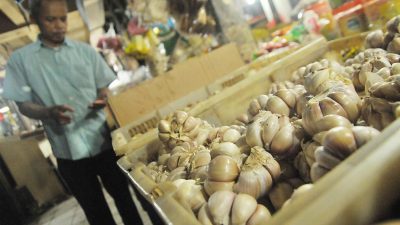 Genjot Popularitas Bawang Putih di Kabupaten Bekasi