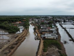 Partisipasi Pemilih Pilkada Terancam Rendah di Muaragembong akibat Banjir Rob   