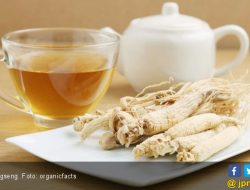 Manfaat Teh Gingseng, Bisa Redakan Nyeri Menstruasi hingga Turunkan Berat Badan
