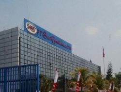 Celeng Banteng