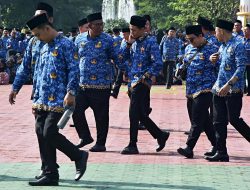Pengangkatan PPPK Paruh Waktu, Pemda Terkesan Ogah-ogahan, Ini Jadwalnya