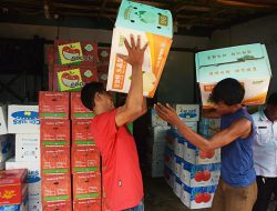 APINDO Desak Pemerintah Tunda Penerapan PPN 12 Persen