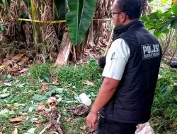 Kerangka Manusia Ditemukan di Kebun Kosong Tambun Selatan   