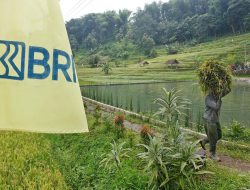 BRI Salurkan KUR Senilai Rp175,66 triliun, Bukti Nyata Implementasi Asta Cita dalam Pemberdayaan Ekonomi Kerakyatan   