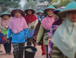 Lewat Pembiayaan dan Pemberdayaan, BRI Sukseskan Program Makan Bergizi Gratis