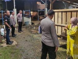 Seekor Sapi Mati Diduga Diracun di Tambun, Polisi Bakal Uji Lab Pakan 