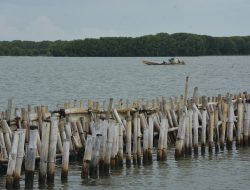 KKP Ungkap Pagar Laut di Tarumajaya Bekasi Tak Punya Izin KKPRL