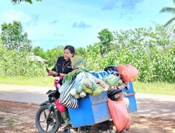 Kisah Petani di Merauke yang Produktivitasnya Semakin Meningkat Berkat Program Pemberdayaan Klaster Usaha dari BRI