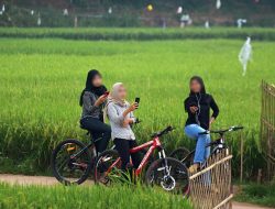 Kasus KGBO 2024 di Kabupaten Bekasi Meningkat, Mayoritas Korban Anak di Bawah Umur