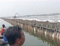 Viral Pemagaran Laut di Tarumajaya Bekasi