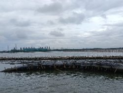 Tembok Laut
