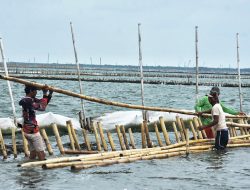 Bareskrim Polri Selidiki Laporan Pemasangan Pagar Laut di Perairan Tarumajaya