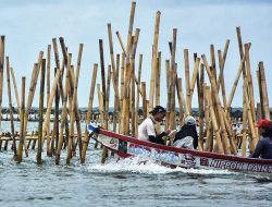 Nelayan Keluhkan Pagar Laut di  Desa Pantai Makmur