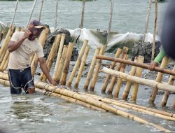 Rieke Desak Pagar Laut di Tarumajaya Bukan Hanya Dicabut