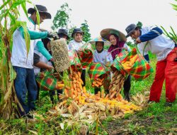 Program BRI Menanam-Grow & Green di Tanjung Prepat Berau Berhasil Serap Karbon 2.987 Kg CO2e Per Tahun dan Dorong Ekonomi Masyarakat