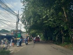 Kerimbunan Pohon di Jatiasih Membahayakan