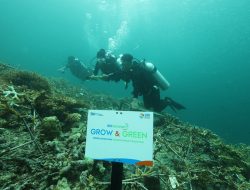 BRI Menanam – Grow & Green Bangun Kesadaran Jaga Kelestarian Ekosistem Laut dan Tingkatkan Pendapatan Nelayan