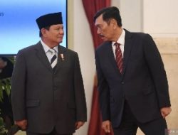 Luhut Luhut