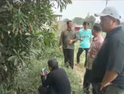 Dewan Anton Geram Perusahaan Kabupaten Bekasi Diduga Buang Limbah ke Kali di Ciketing Udik