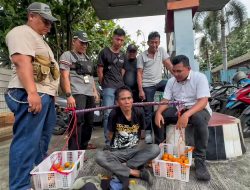 Curi Motor dengan Modus Jualan Buah di Cikarang, Tersangka Terancam Lima Tahun Penjara