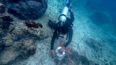 Peringati Hari Bumi 2025, Telkom Selenggarakan Konservasi Lingkungan Serentak di 4 Titik Lokasi di Indonesia