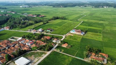 Lahan Pertanian di Bekasi Semakin Menyusut, Ini Biang Keroknya 