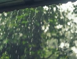 Atap Rumah Bocor? Simak Penyebab, Cara Mengatasi, dan Tips Pencegahannya