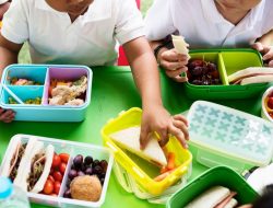 Rekomendasi 5 Ide Menu Bekal Anak, Praktis, Sehat, dan Bergizi