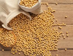 5 Manfaat Kacang Kedelai Bagi Kesehatan, Salah Satunya Bisa Cegah Demensia