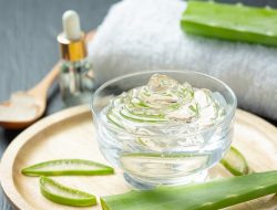Sejumlah Manfaat Lidah Buaya untuk Rambut, Bisa Kurangi Gatal Ketombe