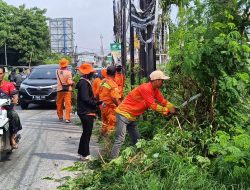 UPTD Kebersihan Bekasi Utara Gencarkan Pemangkasan Rumput dan Angkut Sampah