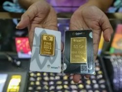 Harga Emas Pegadaian Jumat 24 April 2026: Logam Mulia Antam, UBS, dan Galeri24 Kembali Anjlok