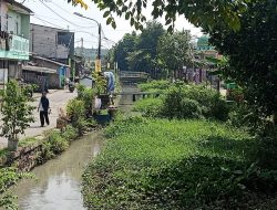 Kali di Perwira Bekasi Utara Dipenuhi Sedimentasi dan Rumput, Kelurahan Tak Punya Anggaran Pengerukan